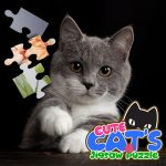 CUTE CATS JIGSAW PUZZLE