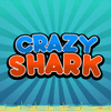 Crazy Shark